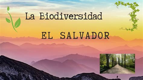 Maravillas Vivas Explorando La Biodiversidad En El Salvador