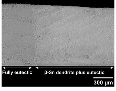 Transition from fully eutectic microstructure to b-Sn... | Download ...