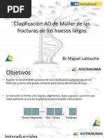Clasificacion Montoya | PDF