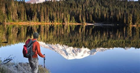 Park Narodowy Mount Rainier Przyroda Wodospady I Dzika Przyroda