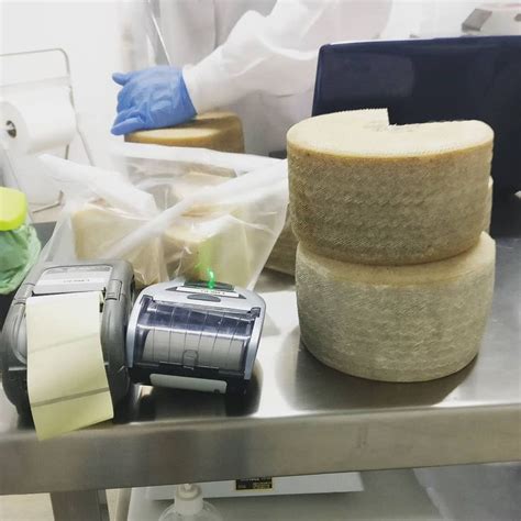 Toma De Muestras Del Consejo Regulador De La D O Queso Manchego Un