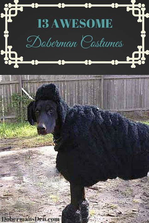 13 Awesome Doberman Halloween Costumes | Cute dog halloween costumes, Dog custumes, Doberman