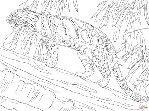 Coloriage Panthère nébuleuse dans un arbre Coloriages à imprimer