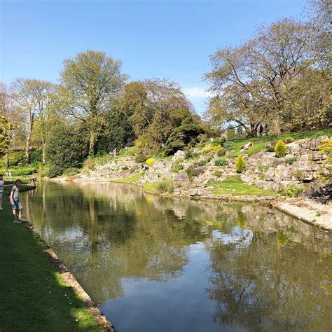 This B&Q Eltham garden center has a surprising secret deal 7