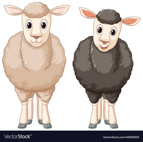 White and black sheep cartoon characters Vector Image