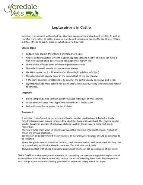 Leptospirosis In Cattle