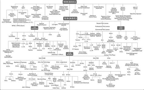 Career Progression Chart