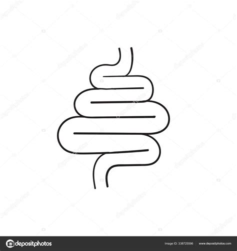 Hand Drawn Intestines Doodle Linear Icon Isolated On White Stock