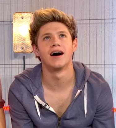 Niall Horan From One Direction Plans To Go Naked In Public The Talent