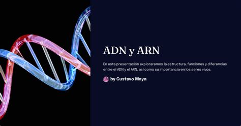 Adn Y Arn