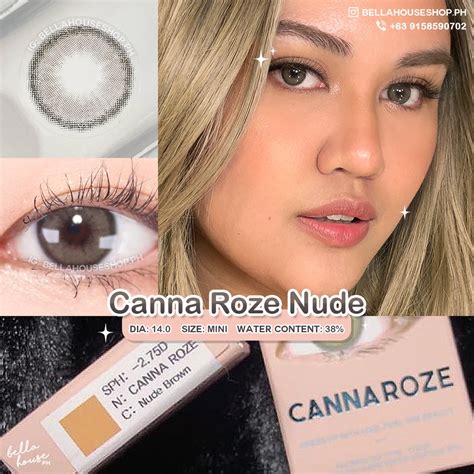 1 YEAR I Dol Lens Canna Roze Nude Graded Natural Gray Brown