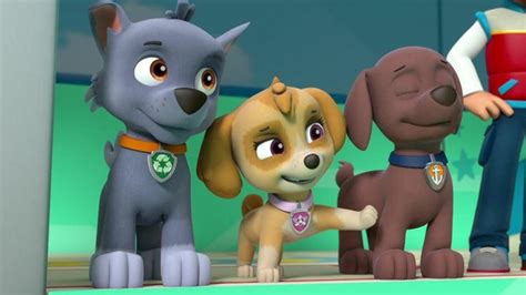 Paw Patrol Season 3 Episode 12 By Karllthorn On Deviantart