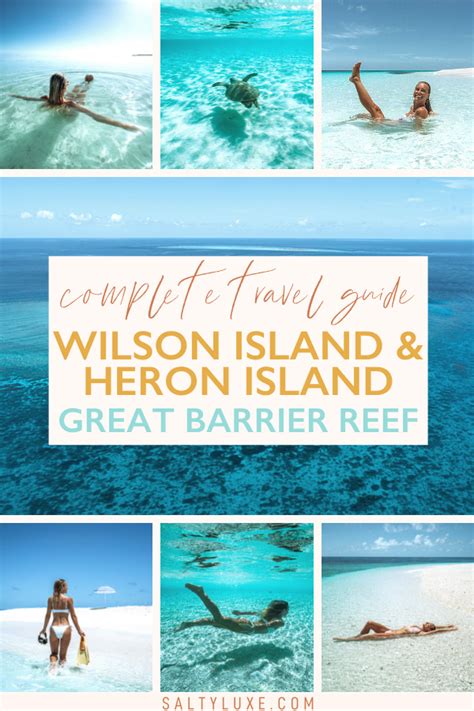 Wilson Heron Island Southern Great Barrier Reef Australia Artofit