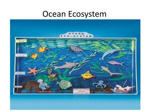 Ppt Ecosystem Diorama Project Powerpoint Presentation Free Download Id 2224716