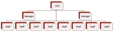 Best Org Chart Software & Templates | Organizational Chart 2023