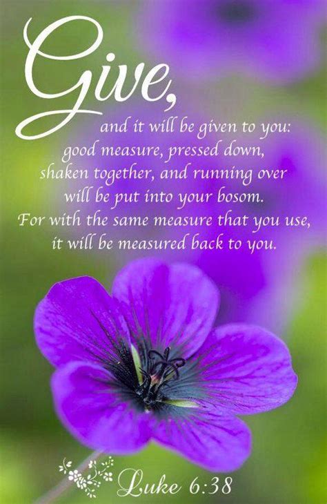 st give        good measure pressed