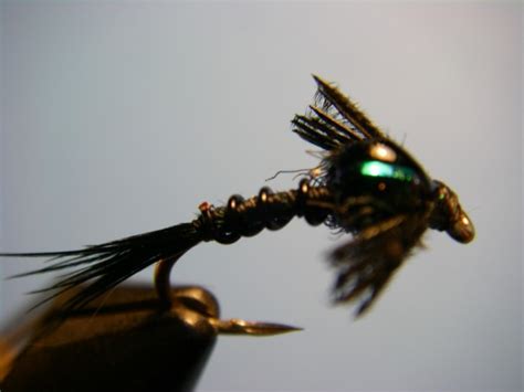 How To Tie Teds Early Black Stonefly Nymph Pattern