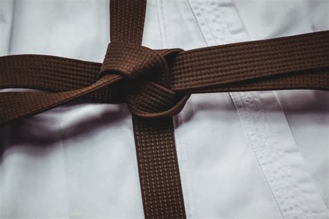 200+ Karate Brown Belt Stock Photos, Pictures & Royalty-Free Images ...