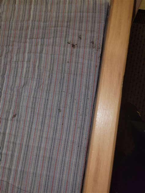 Are These Bed Bug Stains I Just Checked In To A Hostel That Has Two