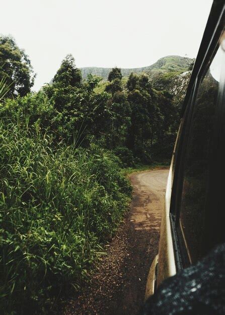 Premium Photo Dirt Road Amidst Trees Against Sky