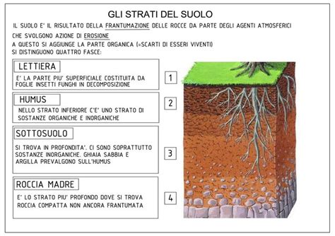 Pin Di Lilly Su Classe Lezioni Di Scienze Scienza Per Bambini