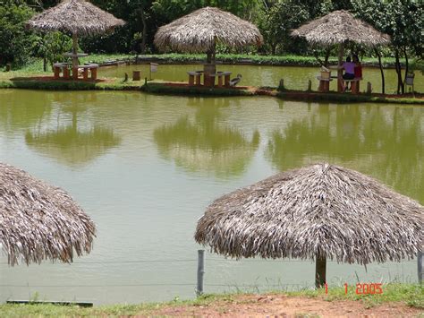 Rota De Turismo Brazl Ndia Restaurante Rural Pesque Pague Bica D Gua