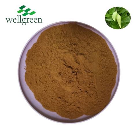 Gymnema Sylvestre Extract Powder Wellgreen Technology