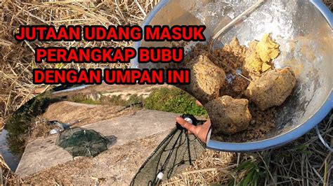 JUTAAN UDANG MASUK KE PERANGKAP BUBU DENGAN UMPAN INI PERANGKAPUDANG