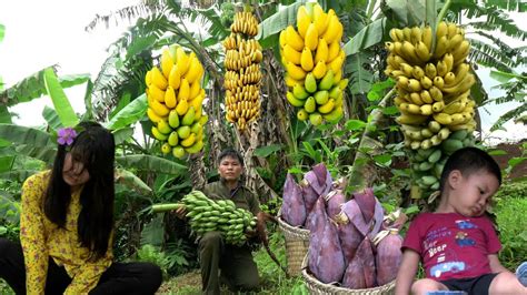 He Picked Bananas And Brought Them To The Market To Sell With His Care