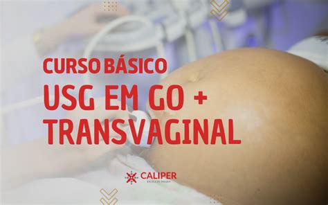 Curso B Sico Ultrassonografia Em Ginecologia E Obstetr Cia