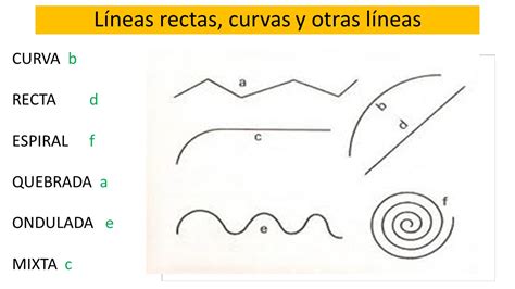 Unidad De Indagación 2ª Rectas Polígonos Y Horas Ppt Video Online