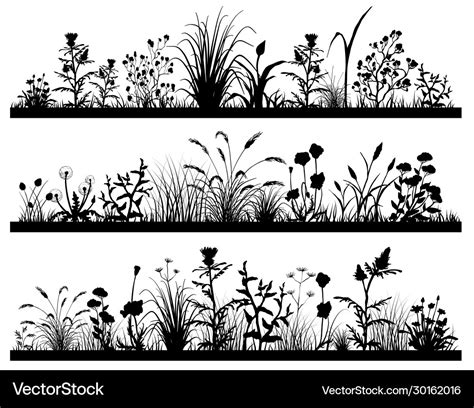 Silhouette Field Flowers And Grass Landscape Vector Image