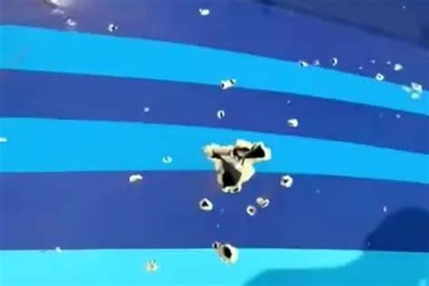 Правда о сбитом самолете AZAL - наше послесловие; все еще актуально ...