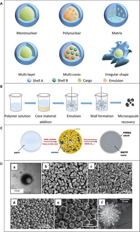 Microencapsulation Process Via In Situ Polymerization And Images Of