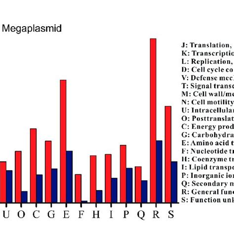 Distribution Of Genes With COG Functional Categories Between The