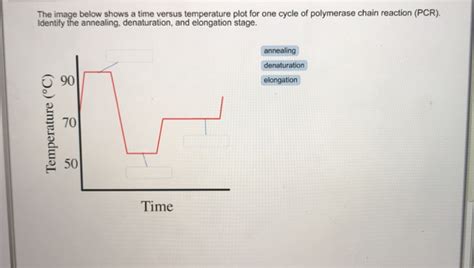 Solved DNA probes can be used to detect whether or not a | Chegg.com