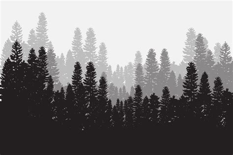 Forest Silhouette Background Design Graphic by CLton Studio Graphic ...