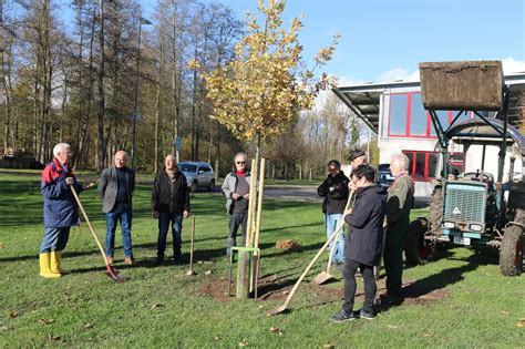 Schutzgemeinschaft Deutscher Wald Pflanzt Wieder B Ume