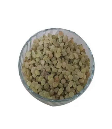 Loose Dried Golden Raisin At Rs Kg Golden Khismis In Chennai Id