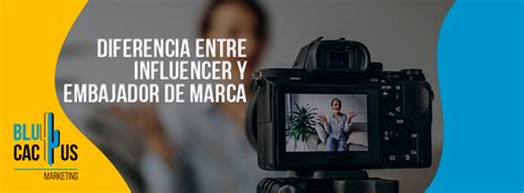 Diferencia Entre Influencer Y Embajador De Marca BluCactus VE