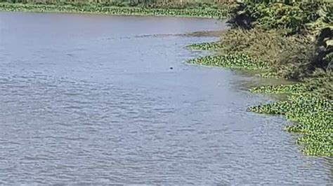 Encuentran Cuerpo Flotando El Aguas Del R O Humaya En Tres R Os