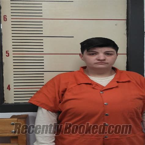 Recent Booking Mugshot For Michelle Nicole Stokes In Van Zandt County Texas