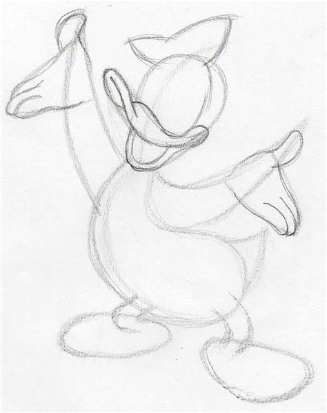 Donald Duck Drawing Step By Step