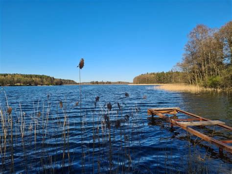 Jezioro Borzechowskie Wielkie Kociewie Eu