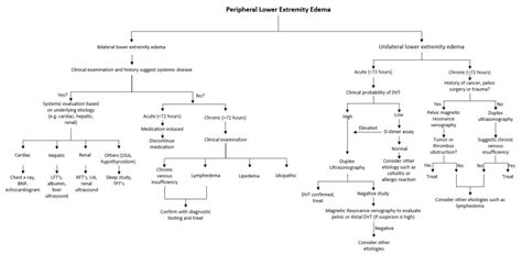 Peripheral Edema Statpearls Ncbi Bookshelf