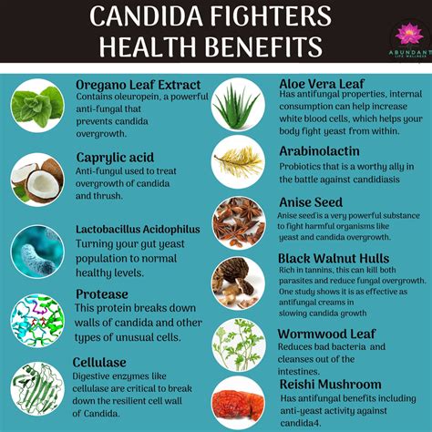 Candida And Fungus Fighters 180 Capsules Yeast Cleanse Abundant