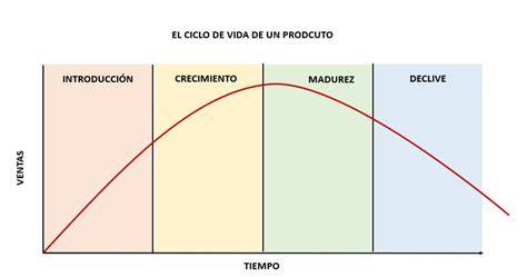 Mayordomo Ala Comestible Cuales Son Las Etapas Del Ciclo De Vida Del