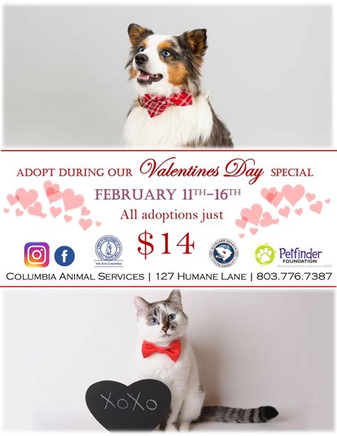 Valentine's Day pet adoption special - ABC Columbia