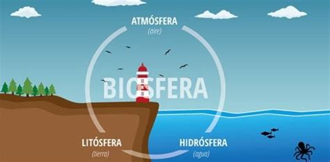 Qu Es La Biosfera Concepto Y Caracter Sticas