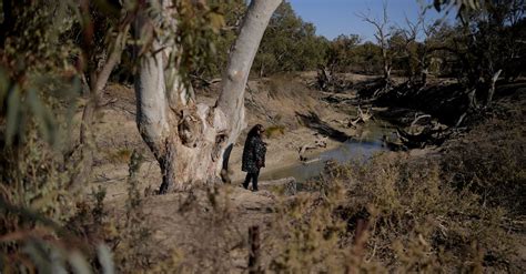 Thirst Turns To Anger As Australias Mighty River Runs Dry Huffpost News